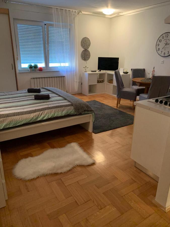Sarmantni Apartman Malecka 2 Zagreb Luaran gambar